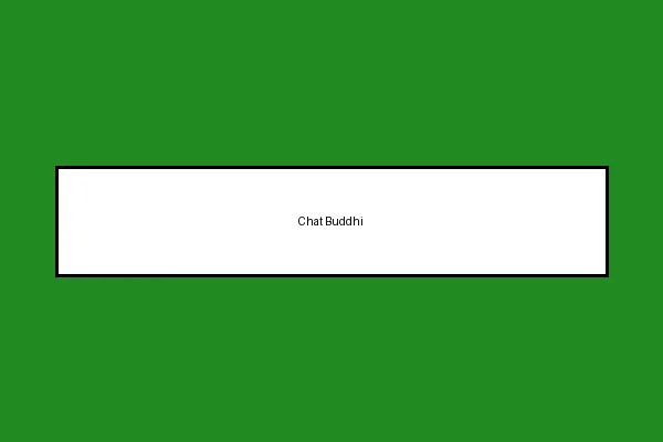 Chat Buddhi